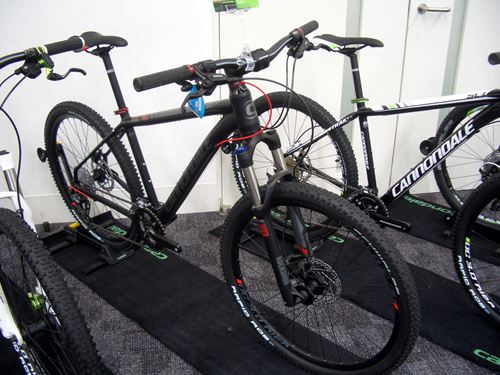 2013Ca%20MTB028.JPG