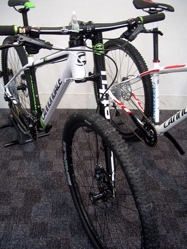 2013Ca%20MTB086.JPG