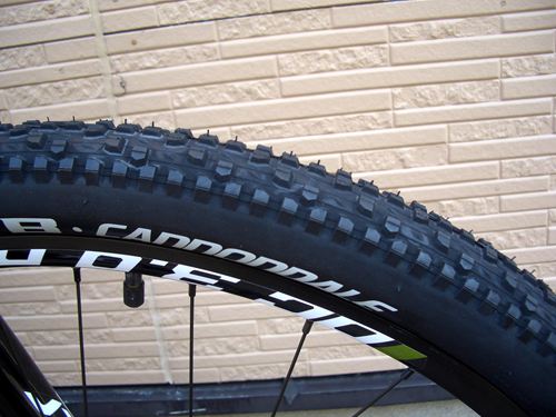 2013CaTRAILSL29ER4GRN%207.JPG