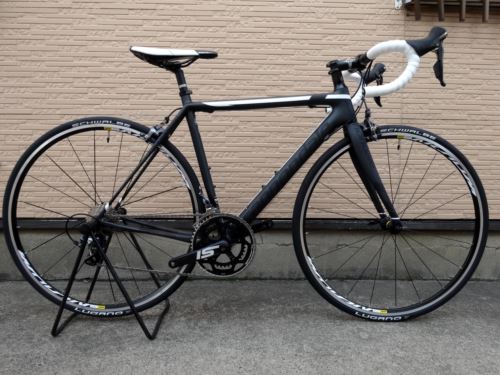 2016CaEVOULTEGRA001.JPG