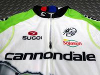 SUGOi 「超人ハルク」ペーター・サガン シグネチャー カスタム ジャージ SUGOi 「超人ハルク」を描いたサガンのシグネチャージャージ