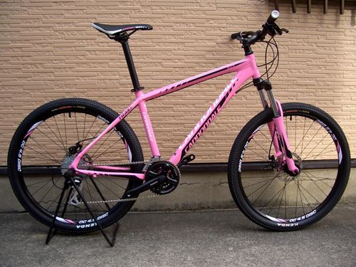 1012Ca%EF%BE%84%EF%BE%9A%EF%BD%B2%EF%BE%996PNK001.JPG