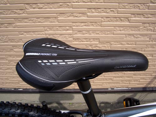2010F4%EF%BD%BB%EF%BE%84%EF%BE%9E%EF%BE%99%E4%B8%8A.JPG