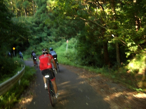 2011%209%2011%20SMR014.JPG