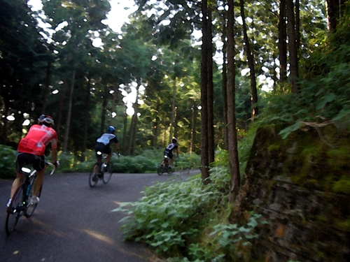 2011%209%2011%20SMR019.JPG