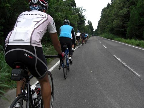 2011-8-7028.JPG