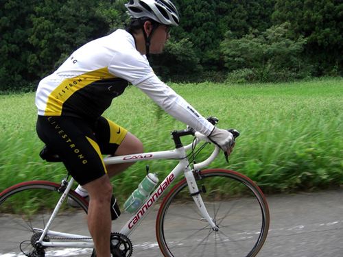 2011-8-7034.JPG