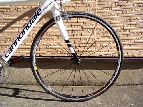 2011CAAD10-3WHT%20%EF%BE%8E%EF%BD%B2%EF%BD%B0%EF%BE%99.JPG