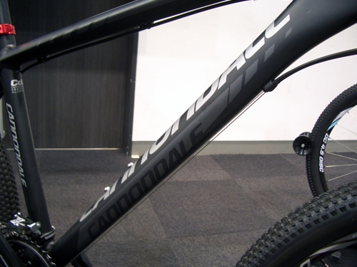 2012%20CA%E3%80%80MTB026.JPG