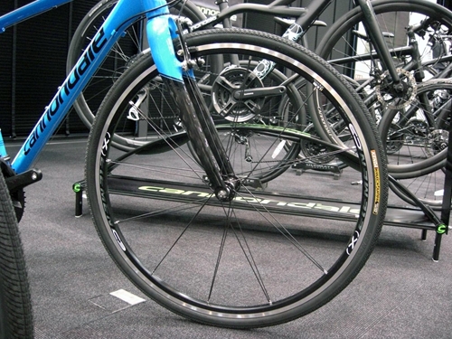 2012%20CA%EF%BD%BC%EF%BE%83%EF%BD%A8021.JPG