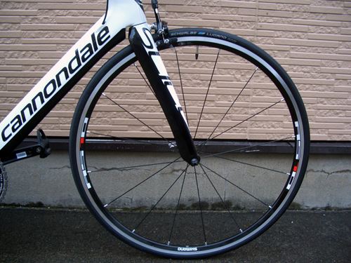 2012%EF%BD%BD%EF%BE%97%EF%BD%B2%EF%BD%BD%EF%BD%B6%EF%BD%B0%EF%BE%8E%EF%BE%9E%EF%BE%9D5002.JPG