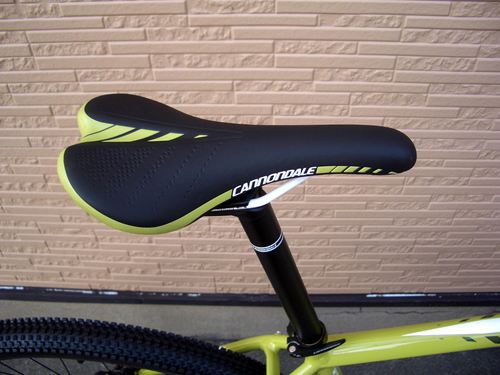 2012Ca%20%EF%BE%84%EF%BE%9A%EF%BD%B2%EF%BE%99SL29ER%EF%BE%9E006.JPG