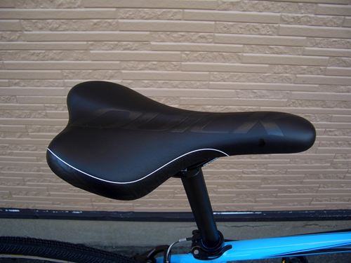 2012Ca%EF%BD%B8%EF%BD%B2%EF%BD%AF%EF%BD%B84BLU003.JPG