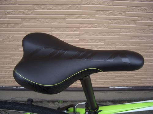 2012Ca%EF%BD%B8%EF%BD%B2%EF%BD%AF%EF%BD%B84GRN007.JPG