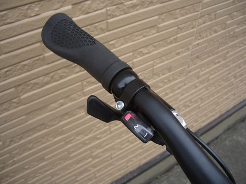 2012Ca%EF%BD%B8%EF%BD%B2%EF%BD%AF%EF%BD%B84GRN016.JPG