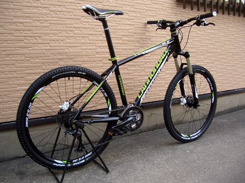 2012Ca%EF%BE%84%EF%BE%9A%EF%BD%B2%EF%BE%99SL2002.JPG