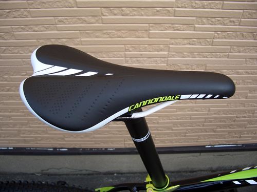 2012Ca%EF%BE%84%EF%BE%9A%EF%BD%B2%EF%BE%99SL2004.JPG