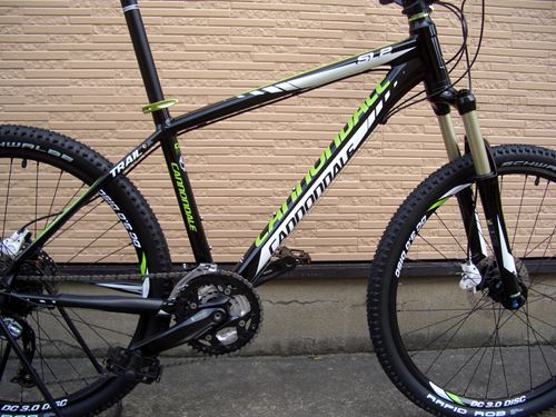 2012Ca%EF%BE%84%EF%BE%9A%EF%BD%B2%EF%BE%99SL2006.JPG