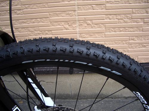 2012Ca%EF%BE%84%EF%BE%9A%EF%BD%B2%EF%BE%99SL2010.JPG
