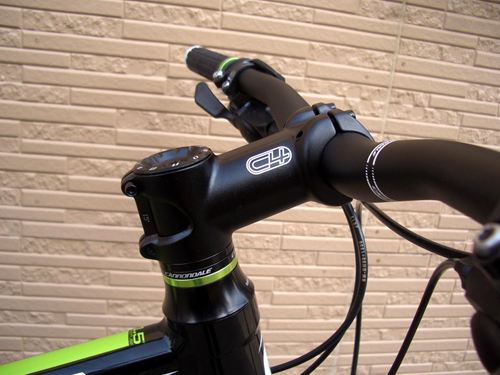 2012Ca%EF%BE%84%EF%BE%9A%EF%BD%B2%EF%BE%99SL2011.JPG