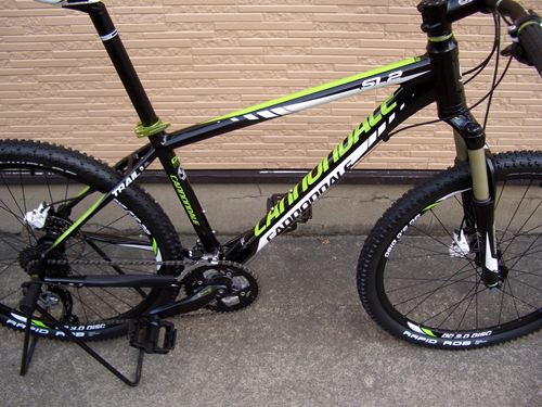 2012Ca%EF%BE%84%EF%BE%9A%EF%BD%B2%EF%BE%99SL2013.JPG
