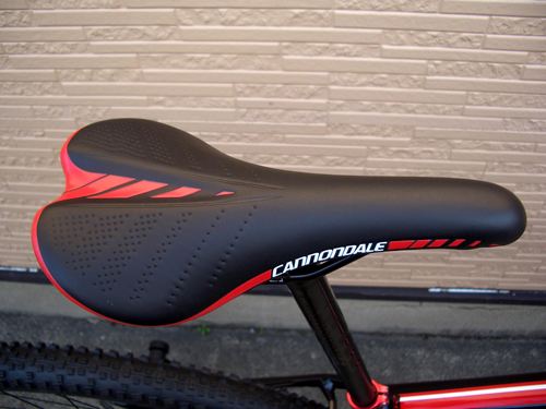 2012Ca%EF%BE%8C%EF%BE%97%EF%BD%AF%EF%BD%BC%EF%BD%AD29ER%EF%BD%B1%EF%BE%9B%EF%BD%B23007.JPG
