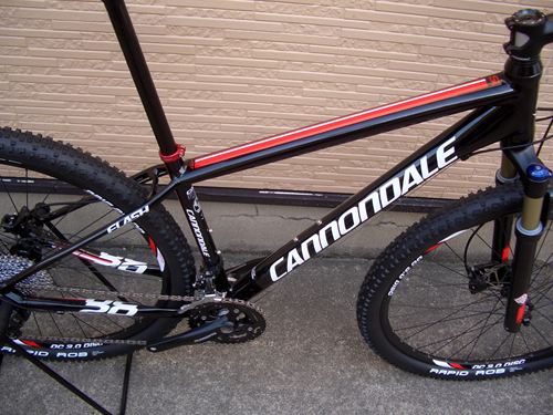 2012Ca%EF%BE%8C%EF%BE%97%EF%BD%AF%EF%BD%BC%EF%BD%AD29ER%EF%BD%B1%EF%BE%9B%EF%BD%B23010.JPG