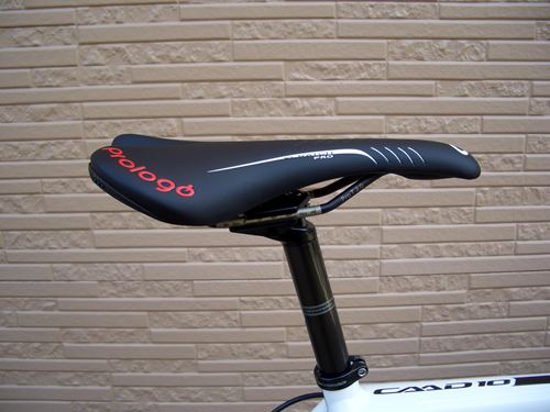 2012CaCAAD10RED005.JPG