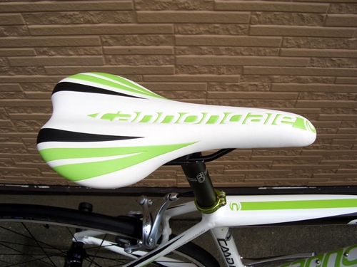2012CaCAAD8-6WHT008.JPG