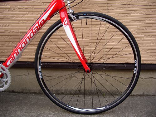 2012CaCAAD8-7%20RED002.JPG
