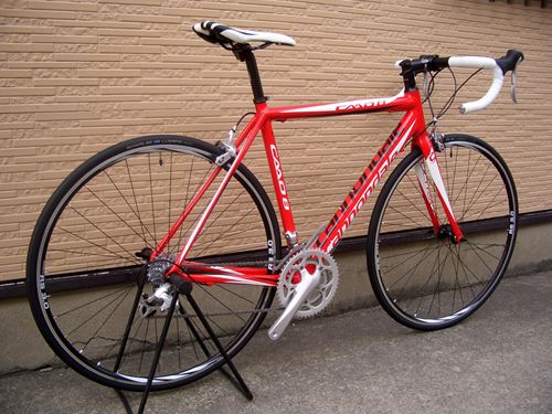 2012CaCAAD8-7%20RED008.JPG
