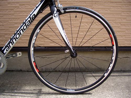 2012CaCAAD8BLK005.JPG
