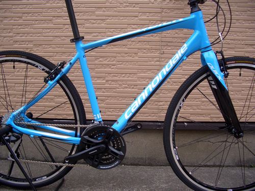 2013Ca%EF%BD%B8%EF%BD%B2%EF%BD%AF%EF%BD%B84%E3%80%80BLU-%EF%BC%97.JPG