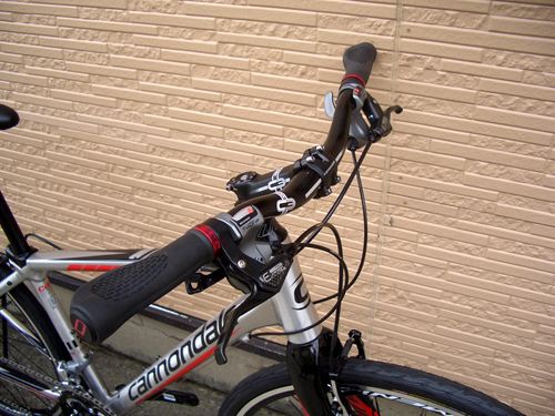 2013Ca%EF%BD%B8%EF%BD%B2%EF%BD%AF%EF%BD%B8SL1009.JPG