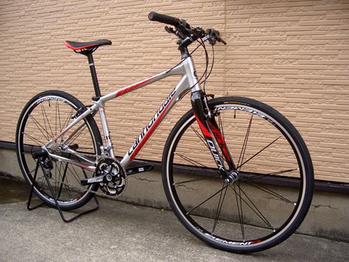 2013Ca%EF%BD%B8%EF%BD%B2%EF%BD%AF%EF%BD%B8SL1011.JPG