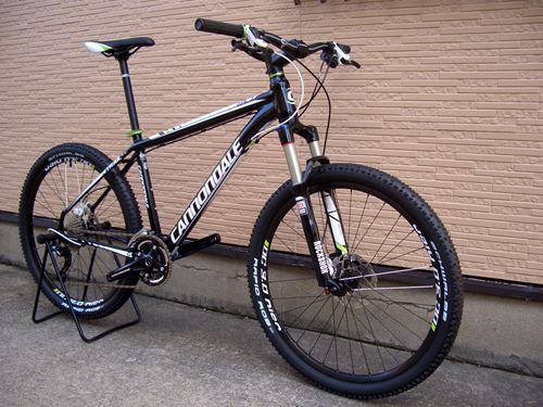 2013Ca%EF%BE%84%EF%BE%9A%EF%BD%B2%EF%BE%99SL1-2.JPG
