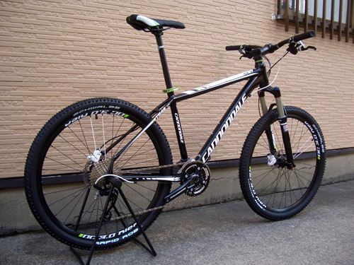 2013Ca%EF%BE%84%EF%BE%9A%EF%BD%B2%EF%BE%99SL1-3.JPG