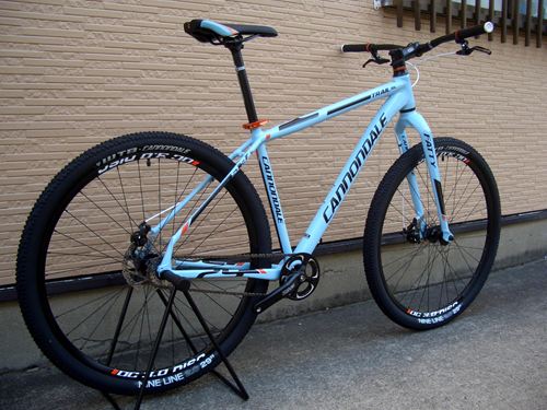 2013Ca%EF%BE%84%EF%BE%9A%EF%BD%B2%EF%BE%99SL29ER3-3.JPG