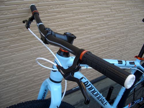 2013Ca%EF%BE%84%EF%BE%9A%EF%BD%B2%EF%BE%99SL29ER3-6.JPG