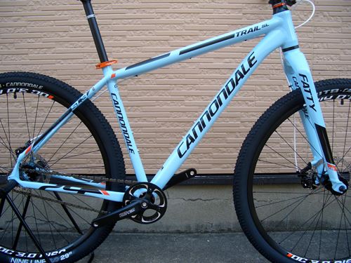 2013Ca%EF%BE%84%EF%BE%9A%EF%BD%B2%EF%BE%99SL29ER3-9.JPG