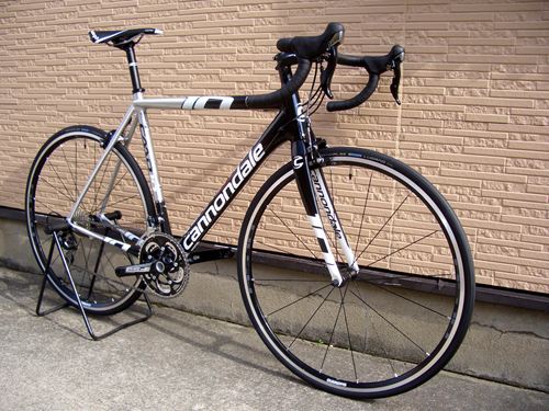 2013CaCAAD10-5RAW%202.JPG