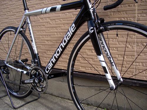 2013CaCAAD10-5RAW%209.JPG