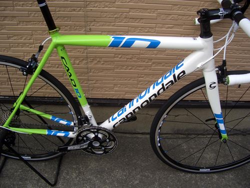 2013CaCAAD10-5REP-11.JPG