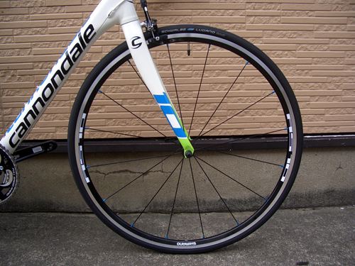 2013CaCAAD10-5REP-4.JPG