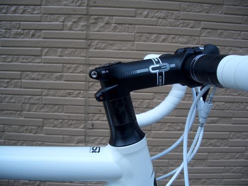 2013CaCAAD10-5REP-7.JPG