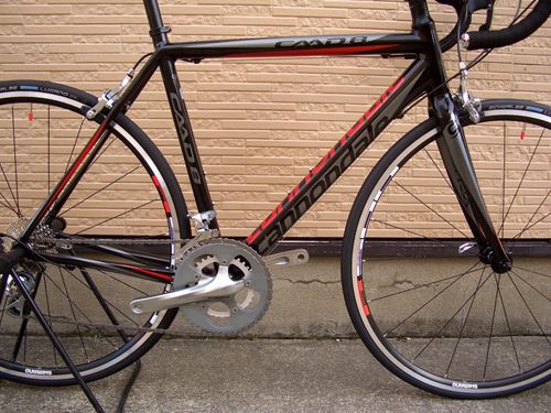 2013CaCAAD8-6BLK11.JPG