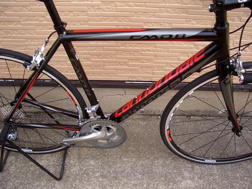 2013CaCAAD8-6BLK12.JPG