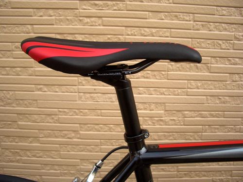 2013CaCAAD8-6BLK21.JPG