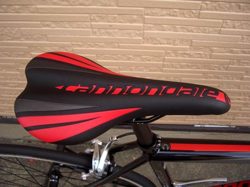 2013CaCAAD8-6BLK22.JPG