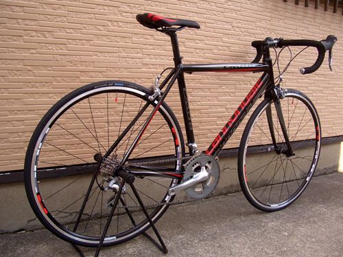 2013CaCAAD8-6BLK3.JPG